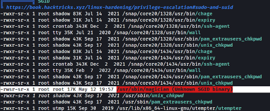 SETUID binary Linpeas
